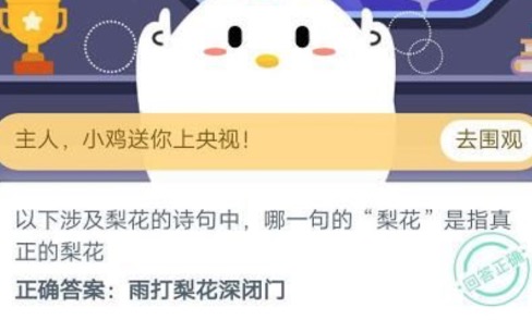 我来分享以下涉及梨花的诗句中哪一句的梨花是指真正的梨花。