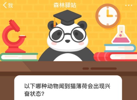 分享以下哪种动物闻到猫薄荷会出现兴奋状态。