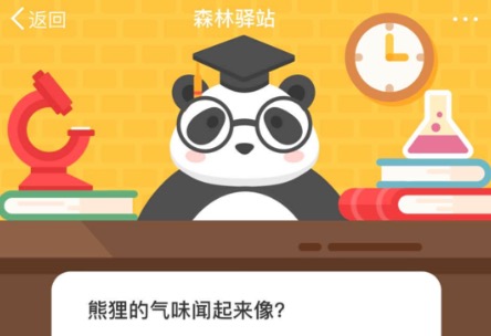 教你熊狸的气味闻起来像。