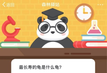 小编教你最长寿的龟是什么龟。