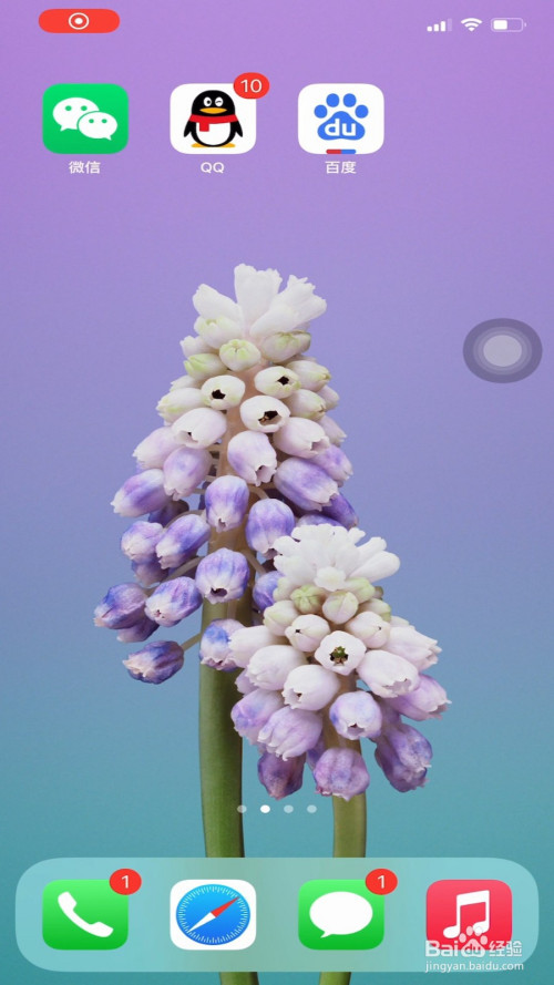 教你微信如何拍一拍对方。