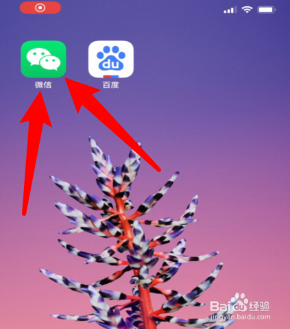 分享微信拍一拍如何用。