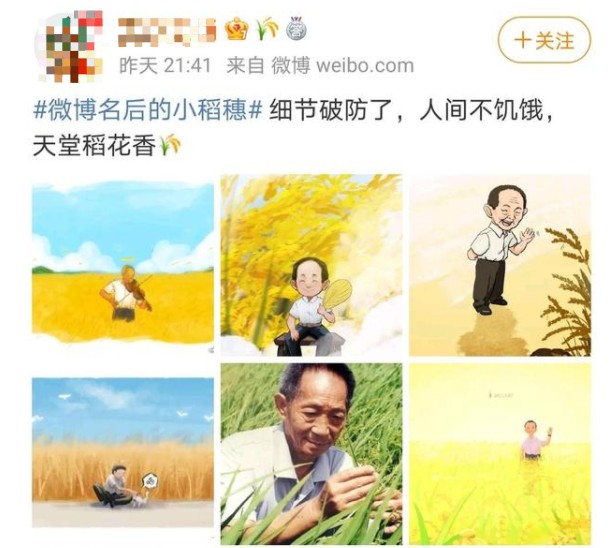 分享如何设置微博名后面的小稻穗。