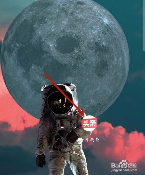 我来教你今日头条如何打开应用通知。