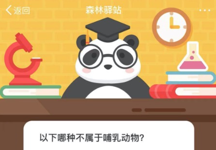 我来分享哪种不属于哺乳动物。