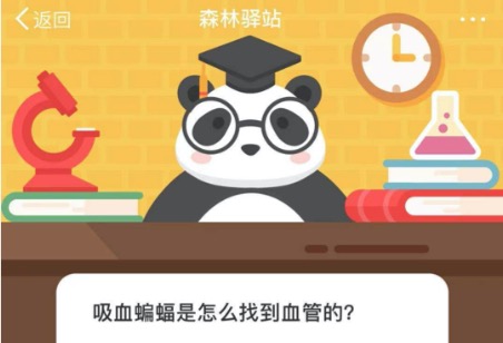 分享吸血蝙蝠是怎么找到血管的。