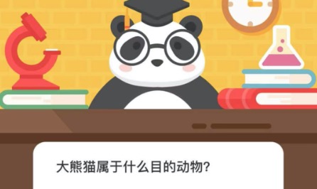 分享大熊猫属于什么目的动物。