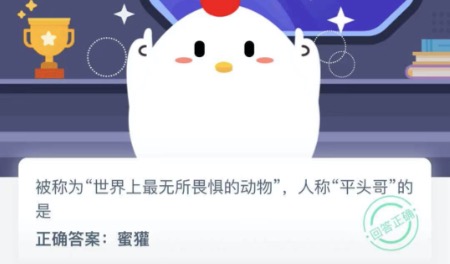 被称为世界上最无所畏惧的动物人称平头哥的是。