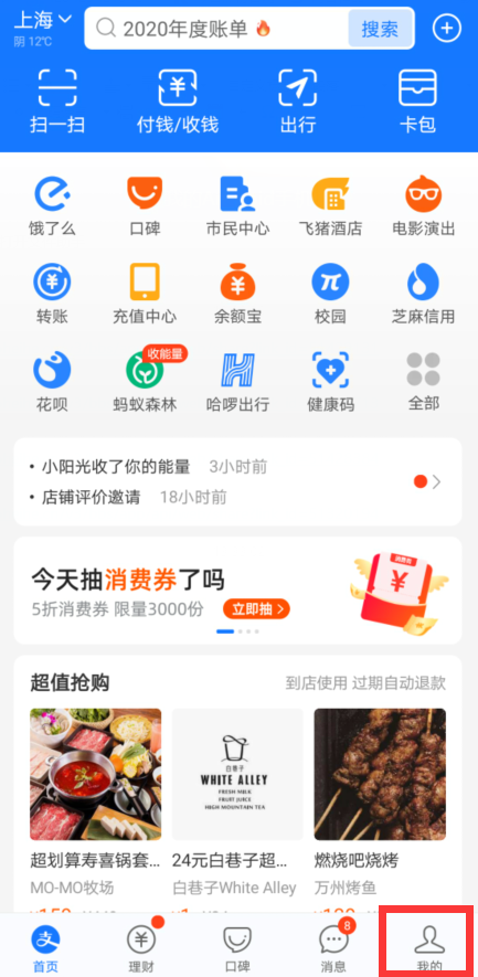 支付宝2020年度账单怎么查询。