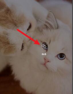 微信健康码如何切换另一个人。