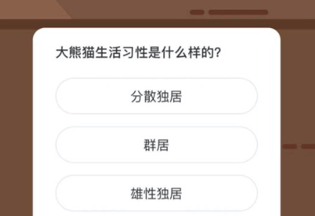 大熊猫生活习性是什么样的。