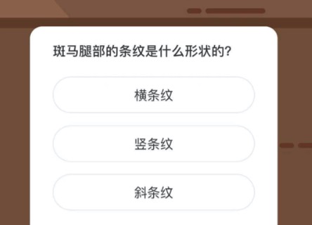 斑马腿部的条纹是什么形状的。