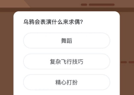 乌鸦会表演什么来求偶。