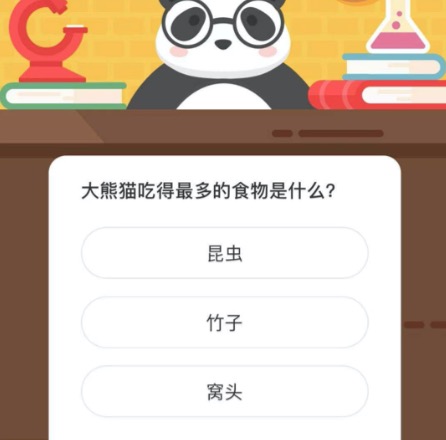 大熊猫吃得最多的食物是什么。