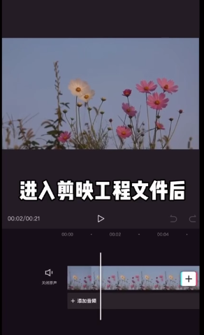 剪映裁剪在什么地方。