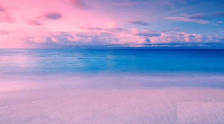 学习通形势与政策章节答案是什么。