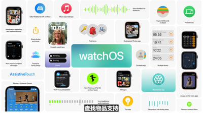 watchos8支持什么设备。