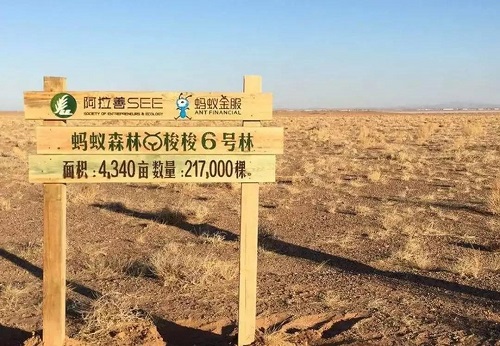 支付宝车辆停驶为什么没有了。