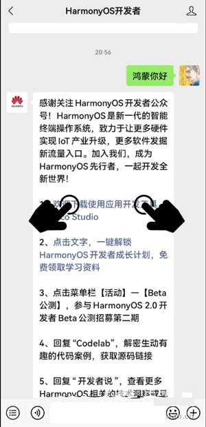 华为聊天隐私保护如何使用。