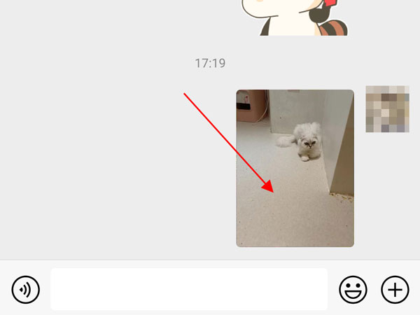 表情包怎么从微信移动到QQ。