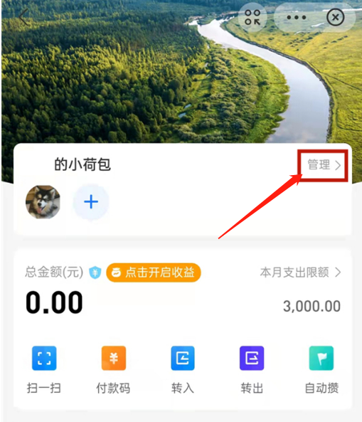 支付宝小荷包如何更改每月使用金额。