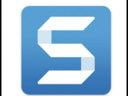 Snagit将彩色图片打造成黑白图片的操作过程。