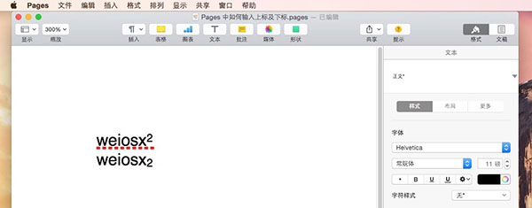 Pages输入上标下标的详细操作截图