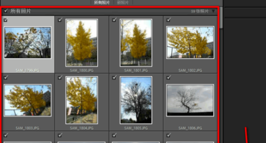lightroom将照片添加到收藏夹的简单操作截图