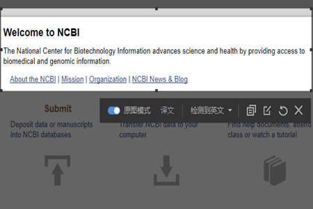有道词典截图翻译的详细操作截图