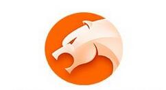 猎豹浏览器搜索栏消失了的处理操作。