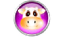 可牛影像下载场景的操作流程。