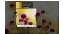 2345看图王关掉热点广告的操作流程。