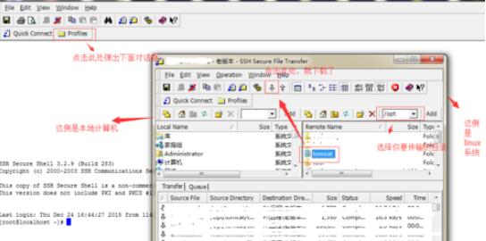 SSH Secure Shell工具从linux中导出文件的操作方法截图