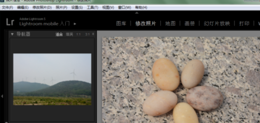 lightroom中将面板字体大小更改的操作教程截图