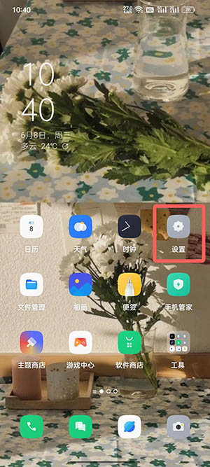 coloros12如何打开开发者模式 coloros12