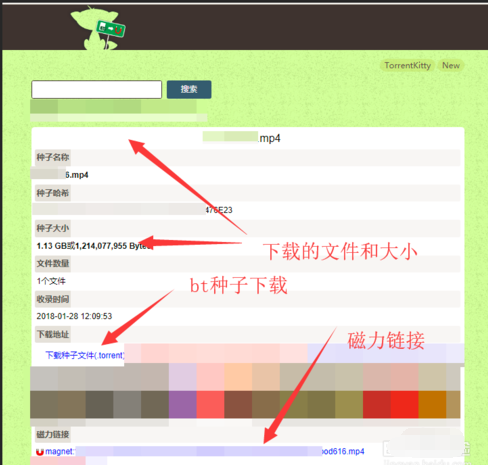 torrentkitty番号的使用教程截图