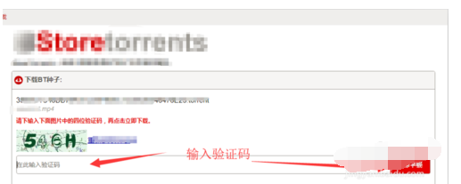 torrentkitty番号的使用教程截图