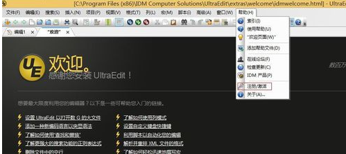 UE编辑器注册激活步骤截图