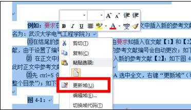 Word 2010加入引用文献的详细操作过程截图