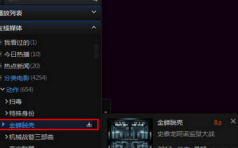迅雷看看播放器高速下载的详细操作步骤截图