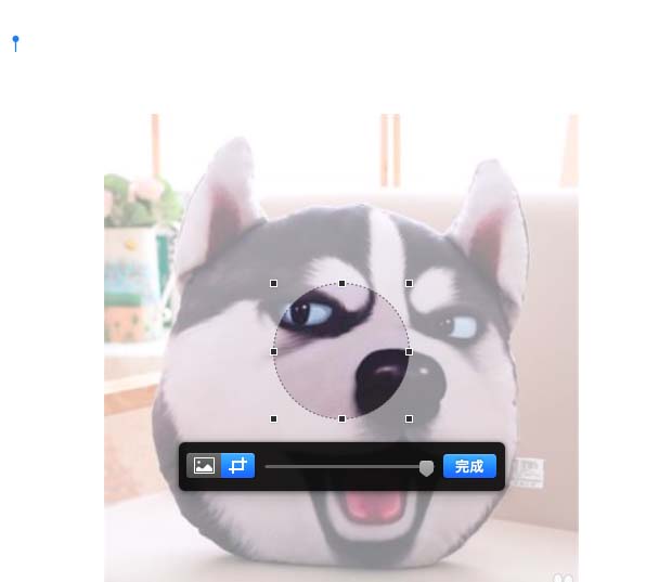 pages遮盖图片实现裁剪效果的操作步骤截图