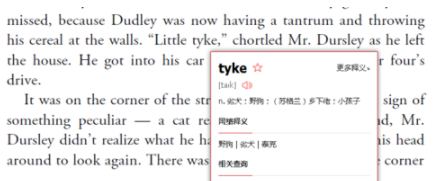 有道词典中没有网络进行查询单词的操作教程截图