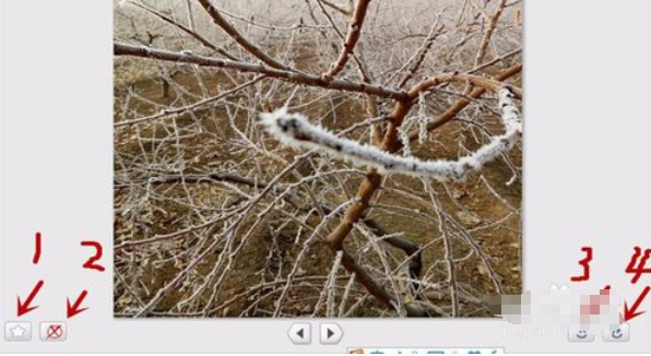 Google Picasa中使用导入来源功能的操作教程截图