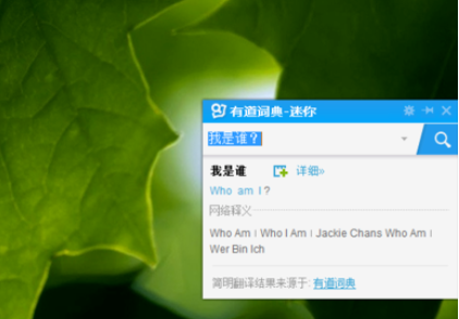 有道词典设置迷你窗口的操作教程截图