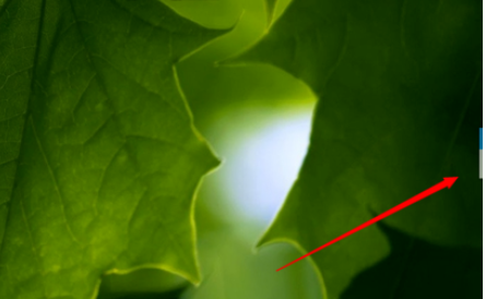 有道词典设置迷你窗口的操作教程截图