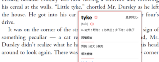 有道词典实现脱网查询的操作方法截图