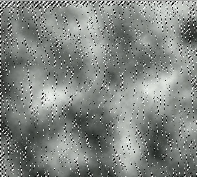 Adobe Photoshop制作动物毛皮效果图案的操作方法截图
