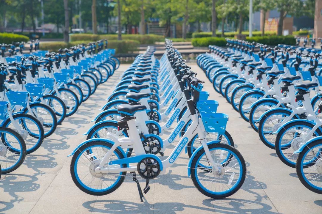 怎么打开哈啰出行相机权限 哈啰出行顺风车怎么打车