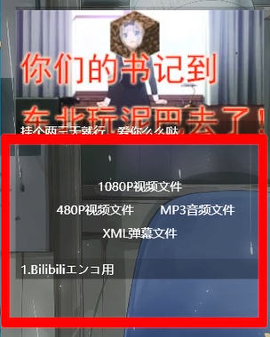 哔哩哔哩下载视频的教程截图