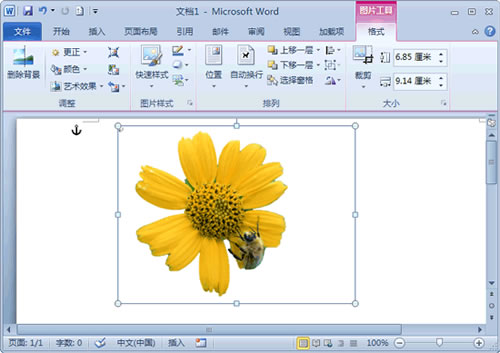 word2010去除图片背景的使用方法截图